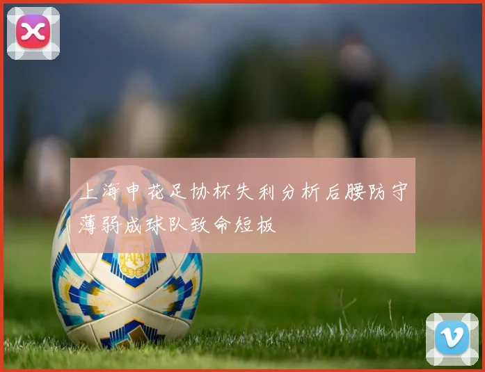 上海申花足协杯失利分析后腰防守薄弱成球队致命短板