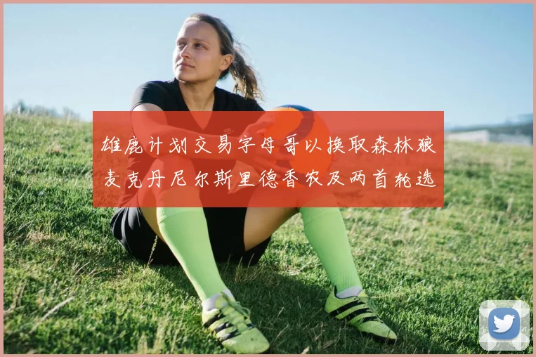 雄鹿计划交易字母哥以换取森林狼麦克丹尼尔斯里德香农及两首轮选秀权