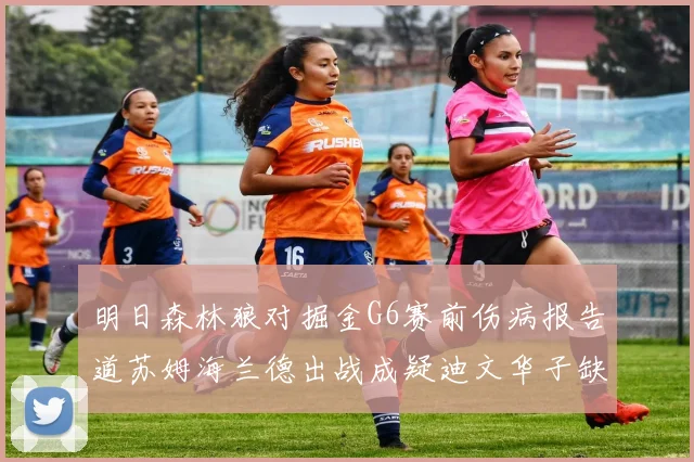明日森林狼对掘金G6赛前伤病报告道苏姆海兰德出战成疑迪文华子缺阵