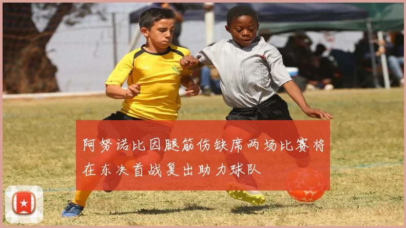 阿努诺比因腿筋伤缺席两场比赛将在东决首战复出助力球队